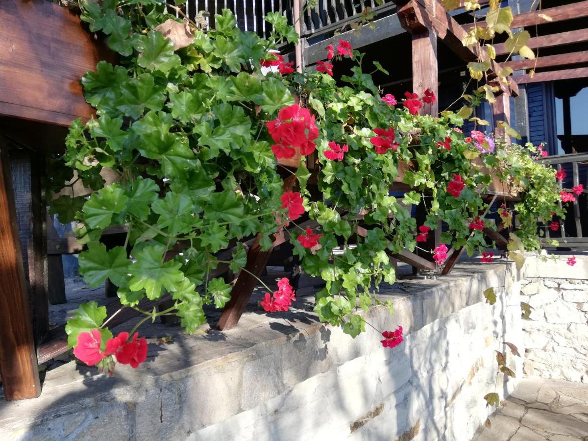 Trifon Zarezan Family Hotel Glavatarci Kültér fotó